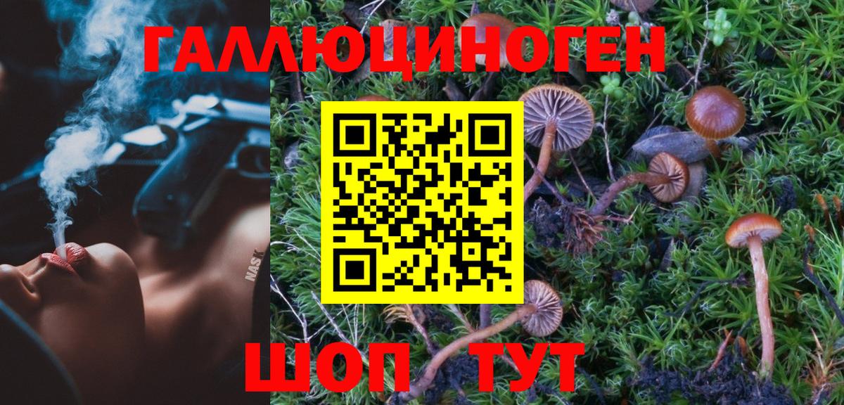 Псилоцибиновые грибы ЛСД Кисловодск